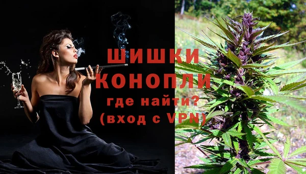мдпв Краснослободск