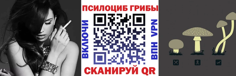 Псилоцибиновые грибы Cubensis  ОМГ ОМГ как зайти  Велиж 